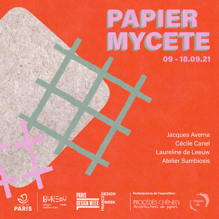  - Papier mycète
