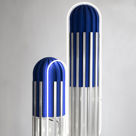  - Inert domestic system