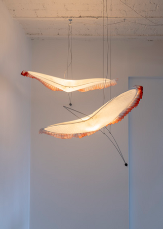  - Mobile, Tsuru, Grue du Japon