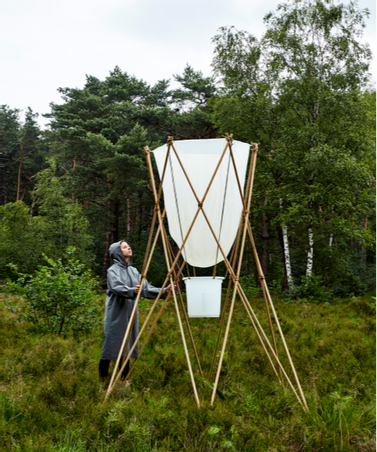  - (RÉCOLTER) LA PLUIE