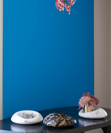  - oOumm CETUS Collection