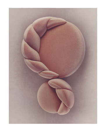  - Salon de conversation Georgia