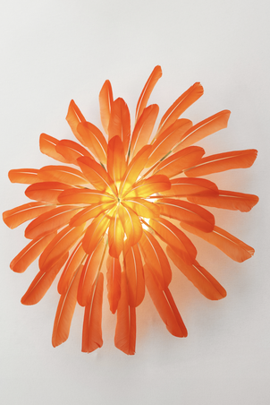  - Luminaire plumes Ibis