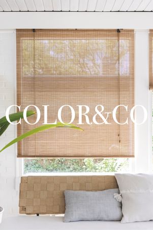  - Color& Co