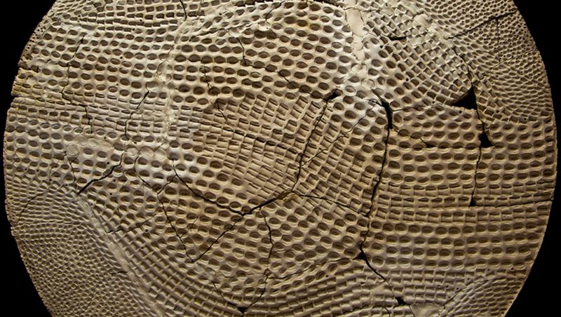 XAVIER LAVERGNE ATELIERS - Our Scales tables mould