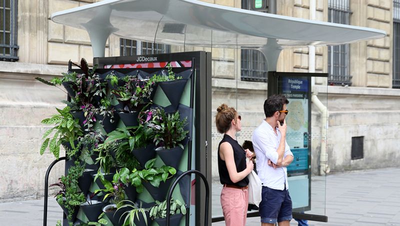 ANTOINE LESUR À LA BIBLIOTHÈQUE HISTORIQUE DE LA VILLE DE PARIS - vertical garden
