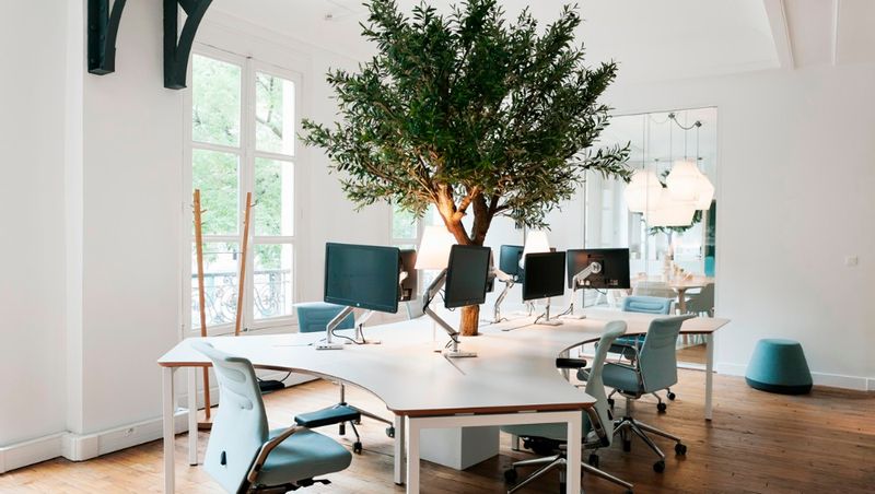 MOORE DESIGN - Array