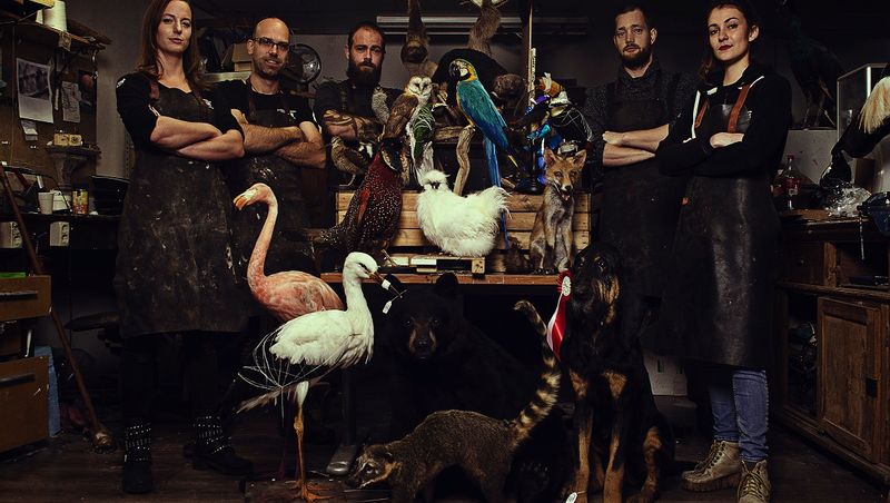 DMW.NU: TAXIDERMY & INTERIOR - Taxidermy & Wildlife Artist
