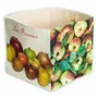 Food storage - Fruits storage Boxes - MARON BOUILLIE