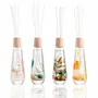 Floral decoration - 300ml room fragrance diffuser - Herbarium collection/BOTANICA Fragrance Japan - ABINGPLUS