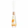 Floral decoration - 300ml room fragrance diffuser - Herbarium collection/BOTANICA Fragrance Japan - ABINGPLUS