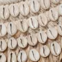 Mirrors - The Raffia Cowrie Mirror - Natural White - BAZAR BIZAR LIVING