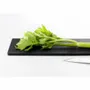Kitchen utensils - ITA long polyethylene cutting board/YOSHIKAWA - ABINGPLUS