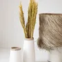 Vases - The Sneaky Vase - White Natural - L - BAZAR BIZAR LIVING