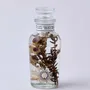 Floral decoration - Herbarium 2021 E (Brown)/BALLOON - ABINGPLUS