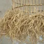 Suspensions - Le pendentif Casita - Naturel - L - BAZAR BIZAR LIVING
