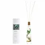 Floral decoration - 300ml room fragrance diffuser - Herbarium collection/BOTANICA Fragrance Japan - ABINGPLUS