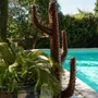 Outdoor decorative accessories - Cactus candelabre - ARROSOIR & PERSIL