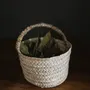 Decorative objects - DOUM PALM LEAF BASKETS - COSYDAR-DECO