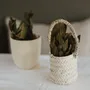 Decorative objects - DOUM PALM LEAF BASKETS - COSYDAR-DECO