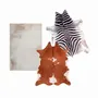 Tapis contemporains - Tapis - Montagne collection - PODEVACHE