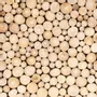 Coffee tables - Large teak log coffee table - JATI - HYDILE