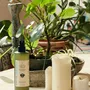 Parfums d'intérieur - Nettoyant Aqua Leaf pour plantes d'intérieur - SOWVITAL
