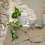 Vases - The Trendy Vase - Concrete - L - BAZAR BIZAR LIVING
