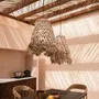Hanging lights - The Jelly Fish Lampshade - Natural - L - BAZAR BIZAR LIVING