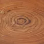 Assiettes au quotidien - L'Assiette Teak Root Organic - BAZAR BIZAR LIVING