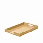 Trays - SIGNATURE rectangular lacquer tray - CFOC