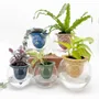 Vases - Clay pot - PIANO B - 3D self-irrigating design with glass for top - COMMON PLACE