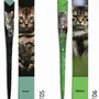 Stylos, feutres et crayons - 48 Stylos en papier - COLLECTION CHAT - PLUME DE PAPIER