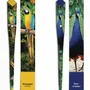 Stylos, feutres et crayons - 48 Stylos en papier - COLLECTION ANIMAUX - PLUME DE PAPIER