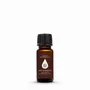 Parfums d'intérieur - Revigorate - Huile essentielle mélangée - COMO SHAMBHALA