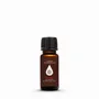 Parfums d'intérieur - Shield - Huile essentielle mélangée - COMO SHAMBHALA
