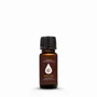Parfums d'intérieur - Shelter - Huile essentielle mélangée - COMO SHAMBHALA