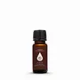Home fragrances - Sleep - Blended Essential Oil - COMO SHAMBHALA