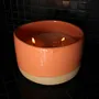 Candles - Refillable scented candle Fleurs du Sud 360g - MAISON TASSAN
