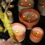 Candles - Refillable scented candle Fleurs du Sud 90g - MAISON TASSAN