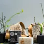 Soaps - Soap with pine essential oil and amber stones - TL CANDLES