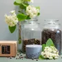 Bougies - Bougie au parfum de patchouli - TL CANDLES