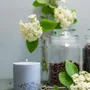 Bougies - Bougie au parfum de patchouli - TL CANDLES