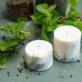 Candles - Candle with Juniper Scent - TL CANDLES