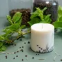 Candles - Candle with Juniper Scent - TL CANDLES