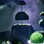 Garden accessories - Oversized Flat Blob Fiberglass Planter 'Black' by Tuleste Factory - TULESTE FACTORY