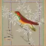 Poster - bird of paradise illustration - PARADISIO IMAGINARIUM