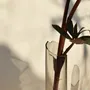 Vases - CATHARSIS, petit vase sculptural, corail poussiéreux - COKI