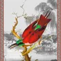 Poster - Cardinal illustration - PARADISIO IMAGINARIUM