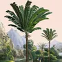 Poster - Manicaria illustration - PARADISIO IMAGINARIUM